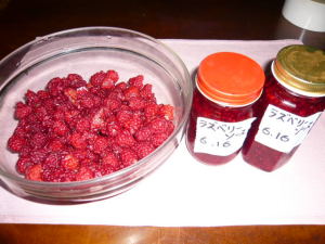 ラズベリー収穫